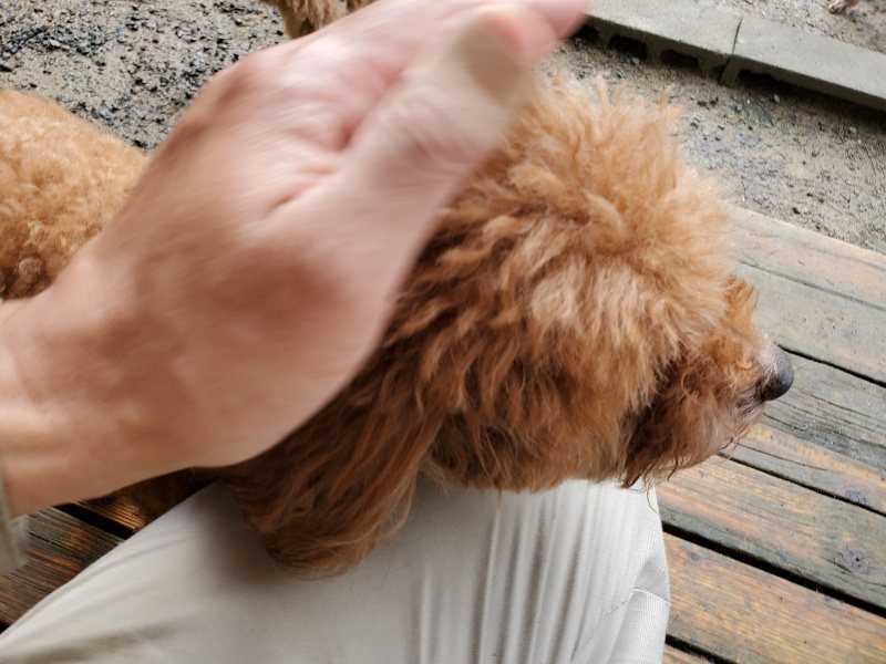 f:id:roukenhome-ann:20191022124556j:plain