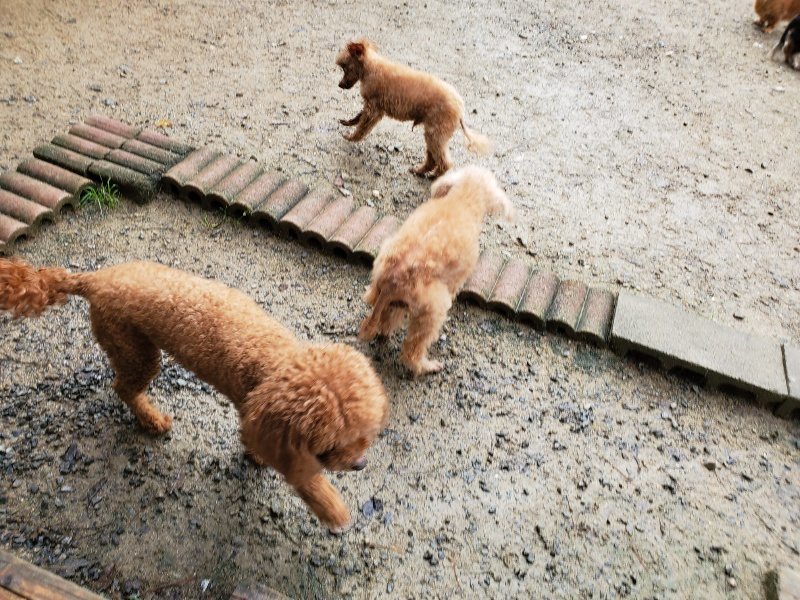 f:id:roukenhome-ann:20191022124616j:plain