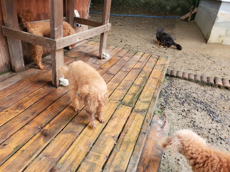 f:id:roukenhome-ann:20191022124648j:plain