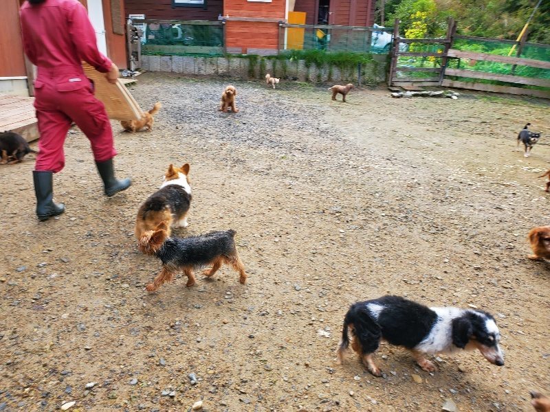 f:id:roukenhome-ann:20191022124755j:plain