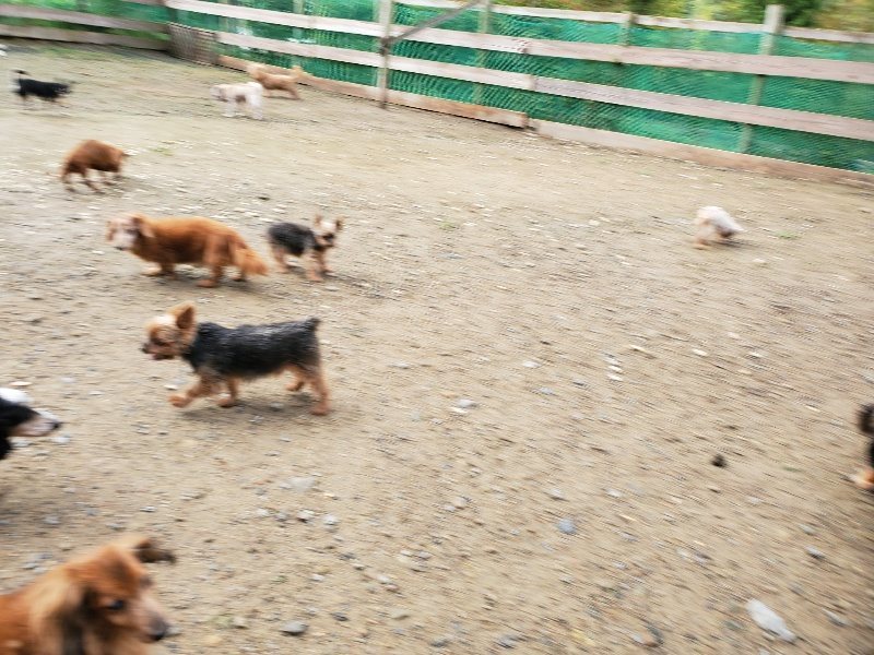 f:id:roukenhome-ann:20191022124813j:plain