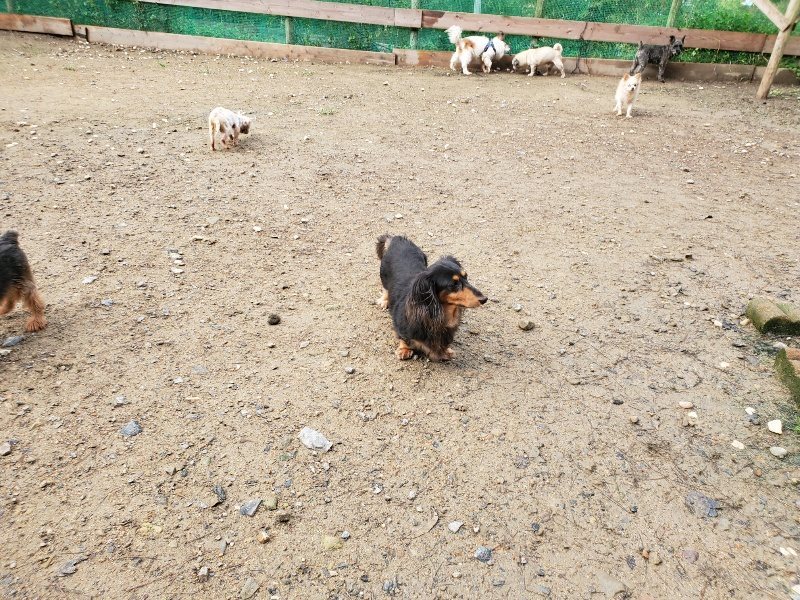 f:id:roukenhome-ann:20191022124824j:plain