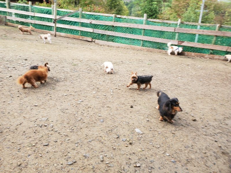 f:id:roukenhome-ann:20191022124834j:plain
