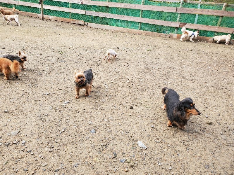 f:id:roukenhome-ann:20191022124842j:plain