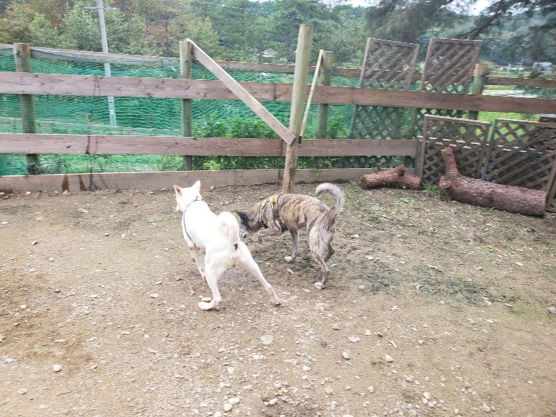 f:id:roukenhome-ann:20191024044146j:plain