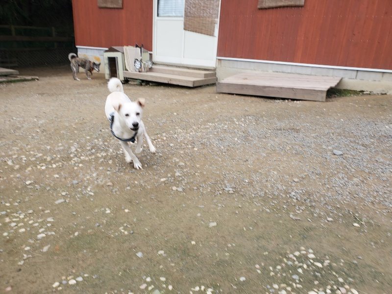 f:id:roukenhome-ann:20191024044215j:plain