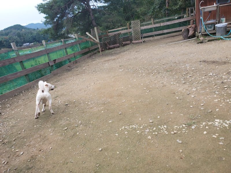f:id:roukenhome-ann:20191024044220j:plain