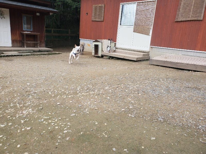 f:id:roukenhome-ann:20191024044230j:plain
