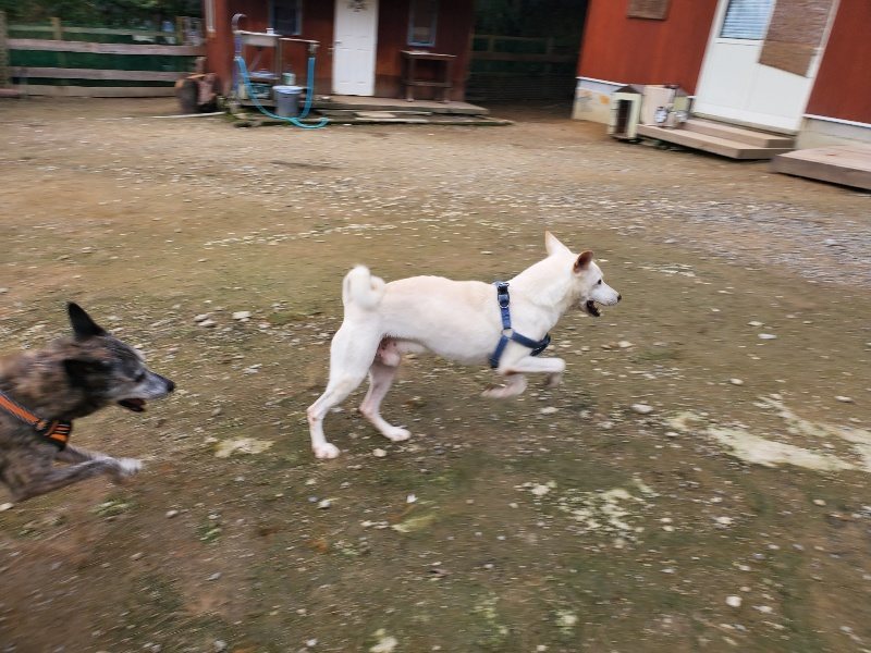 f:id:roukenhome-ann:20191024044243j:plain
