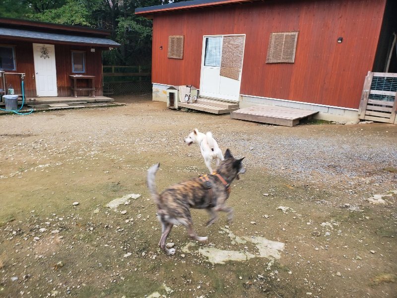 f:id:roukenhome-ann:20191024044252j:plain