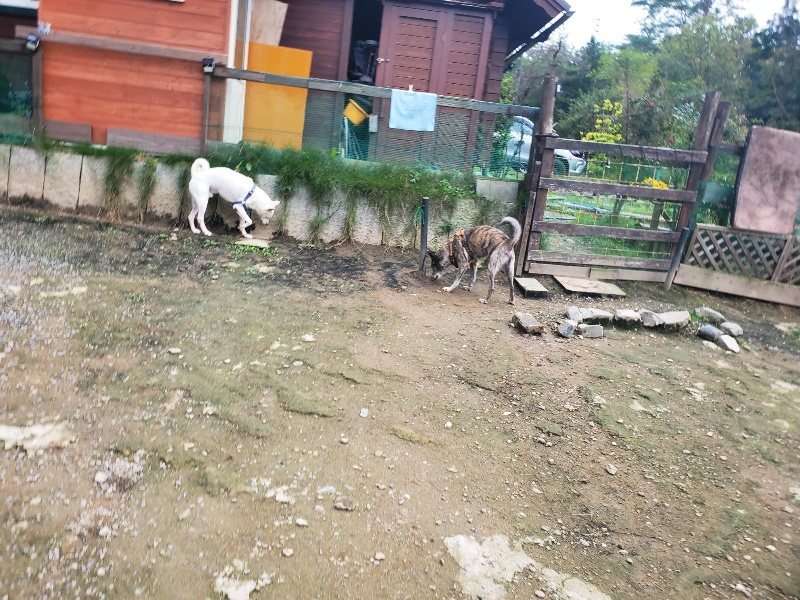 f:id:roukenhome-ann:20191024044330j:plain