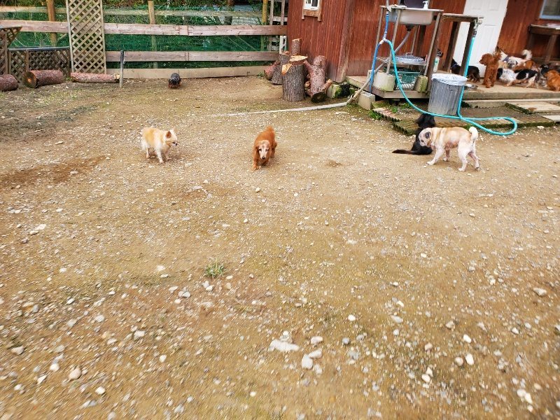 f:id:roukenhome-ann:20191024044346j:plain