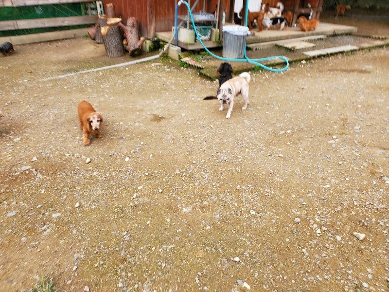 f:id:roukenhome-ann:20191024044400j:plain