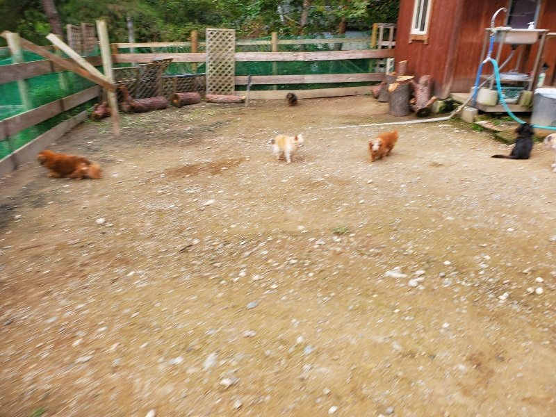 f:id:roukenhome-ann:20191024044405j:plain