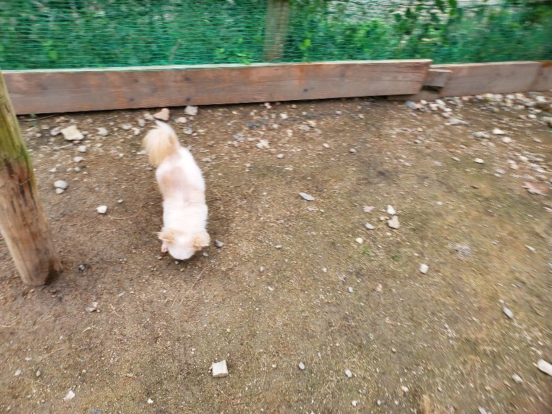 f:id:roukenhome-ann:20191024044415j:plain