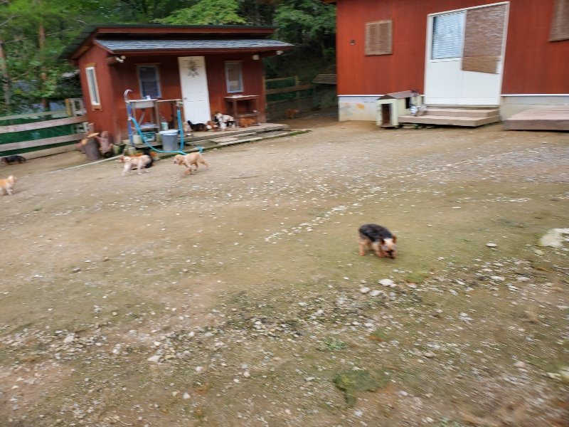 f:id:roukenhome-ann:20191024044444j:plain