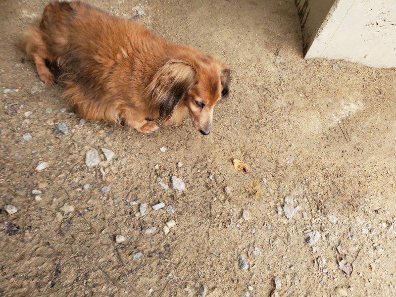 f:id:roukenhome-ann:20191024044912j:plain