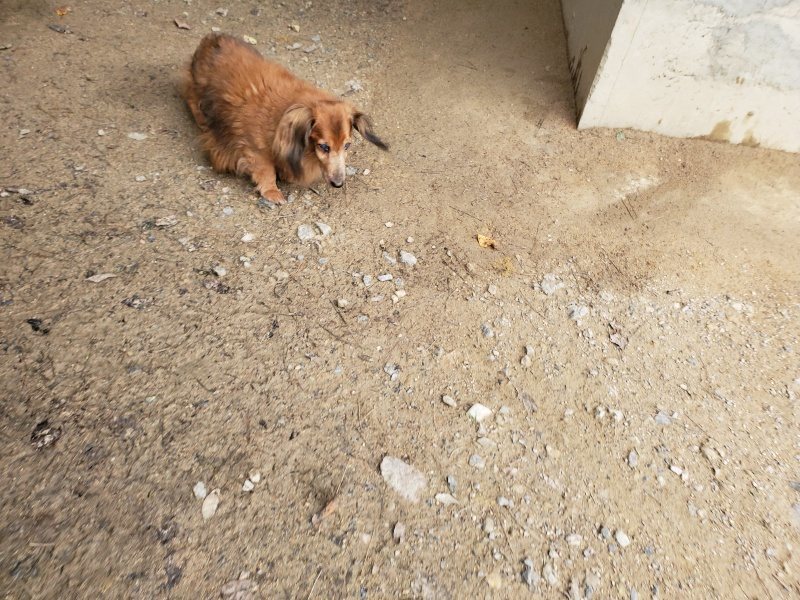 f:id:roukenhome-ann:20191024044917j:plain