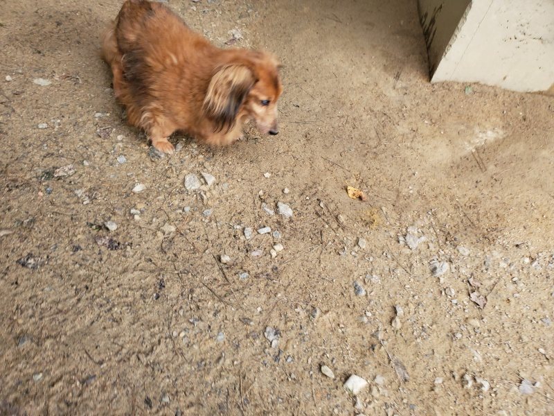 f:id:roukenhome-ann:20191024044927j:plain