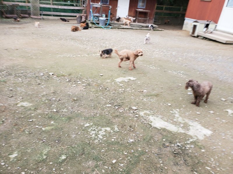 f:id:roukenhome-ann:20191024044950j:plain