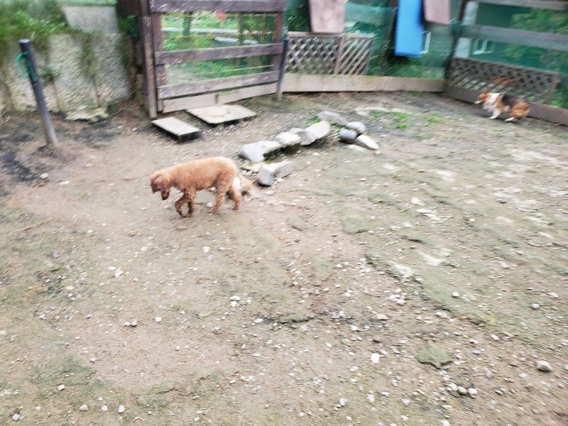 f:id:roukenhome-ann:20191024045017j:plain
