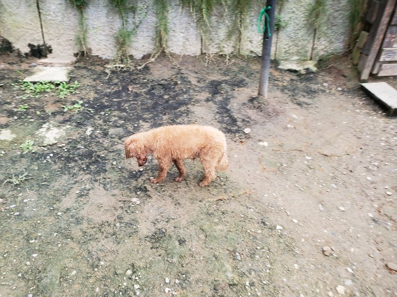 f:id:roukenhome-ann:20191024045022j:plain