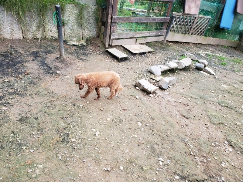 f:id:roukenhome-ann:20191024045027j:plain