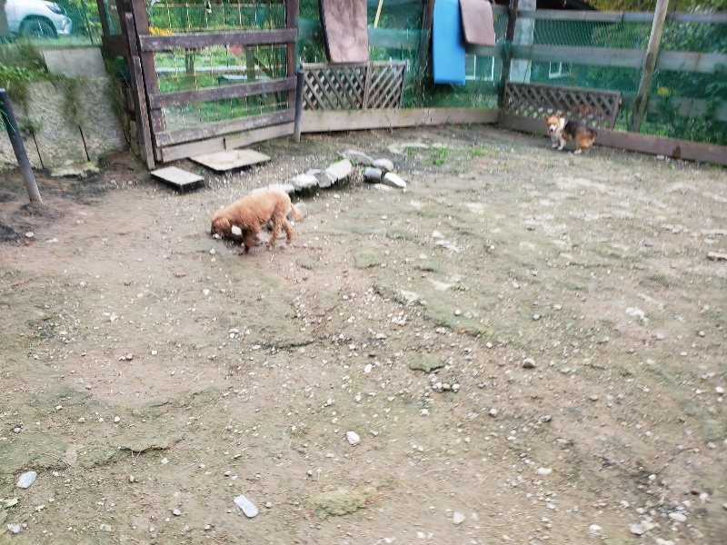 f:id:roukenhome-ann:20191024045036j:plain