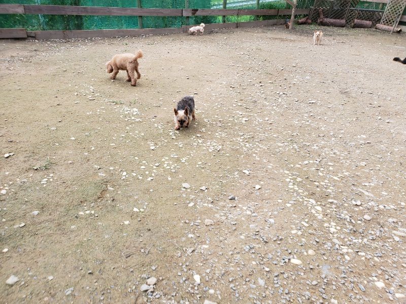 f:id:roukenhome-ann:20191024045054j:plain