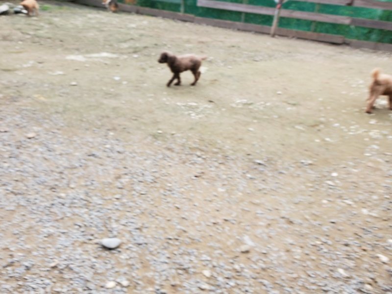 f:id:roukenhome-ann:20191024045109j:plain