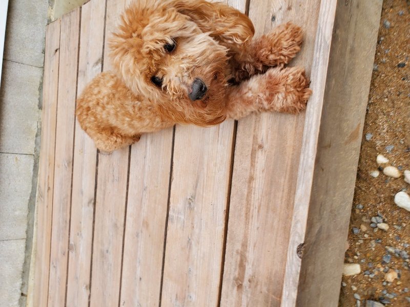f:id:roukenhome-ann:20191024045143j:plain