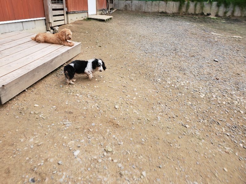 f:id:roukenhome-ann:20191024045225j:plain