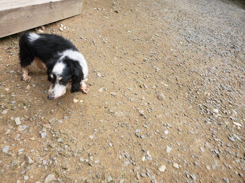 f:id:roukenhome-ann:20191024045235j:plain