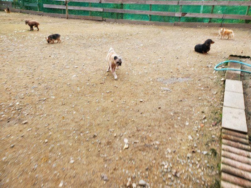 f:id:roukenhome-ann:20191024045317j:plain