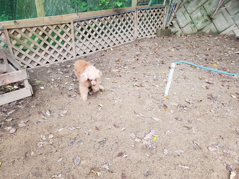 f:id:roukenhome-ann:20191024045339j:plain
