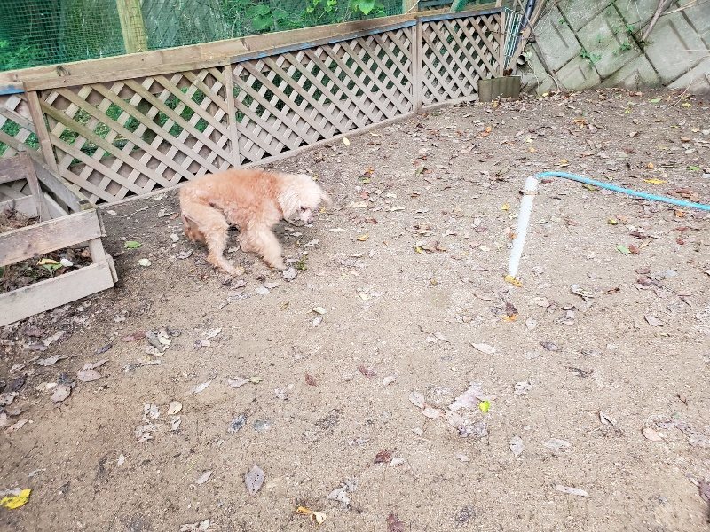 f:id:roukenhome-ann:20191024045349j:plain