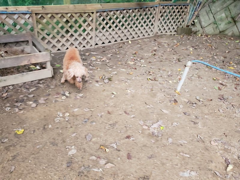 f:id:roukenhome-ann:20191024045354j:plain