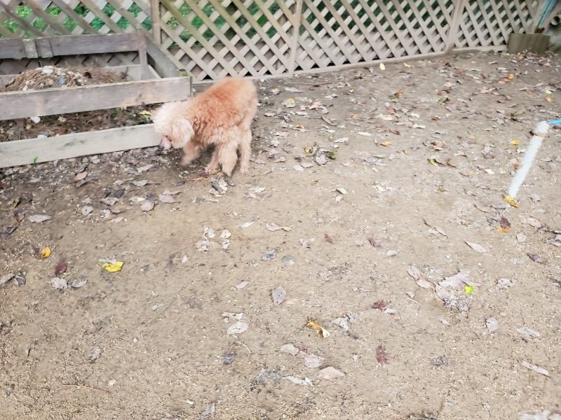 f:id:roukenhome-ann:20191024045403j:plain