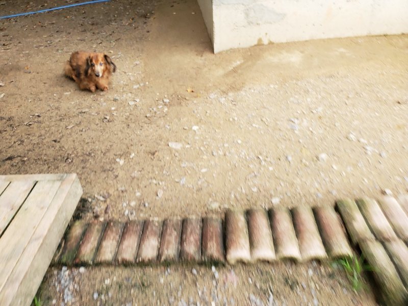 f:id:roukenhome-ann:20191024051028j:plain