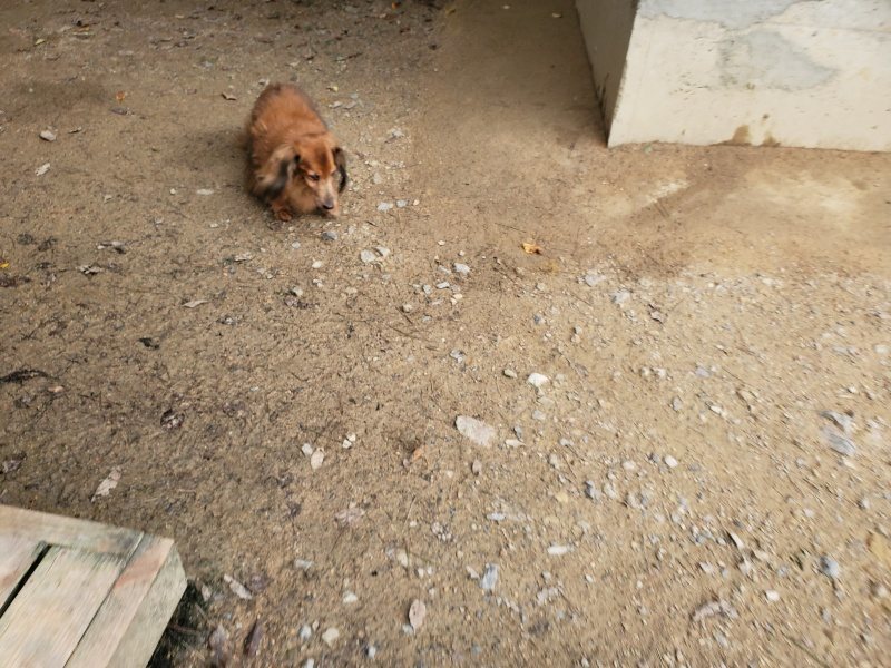 f:id:roukenhome-ann:20191024051043j:plain
