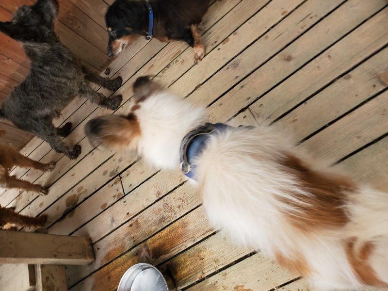 f:id:roukenhome-ann:20191024051127j:plain