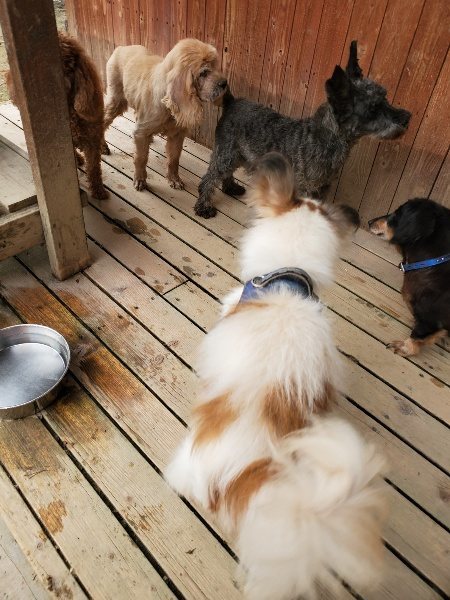 f:id:roukenhome-ann:20191024051149j:plain