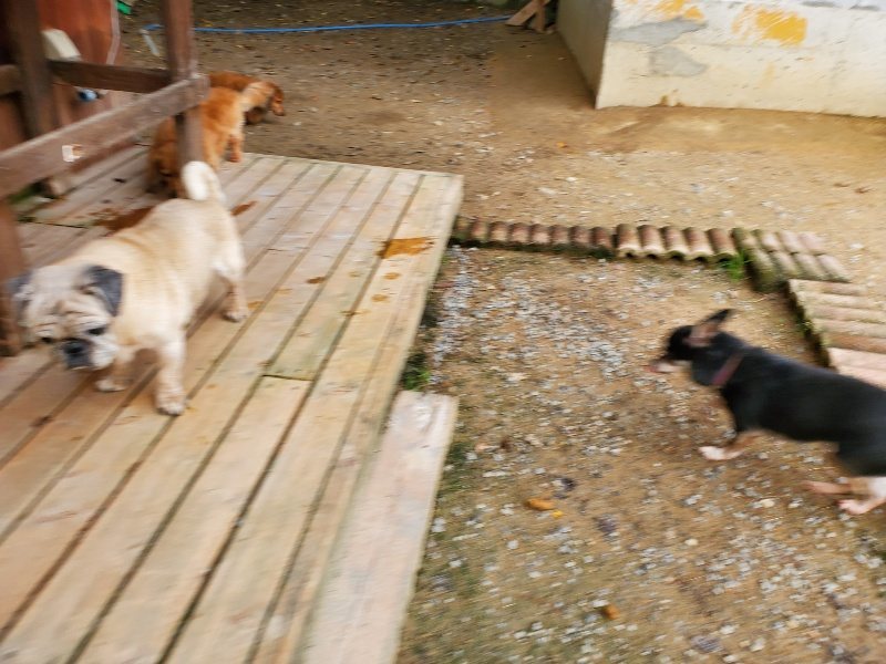 f:id:roukenhome-ann:20191024051226j:plain