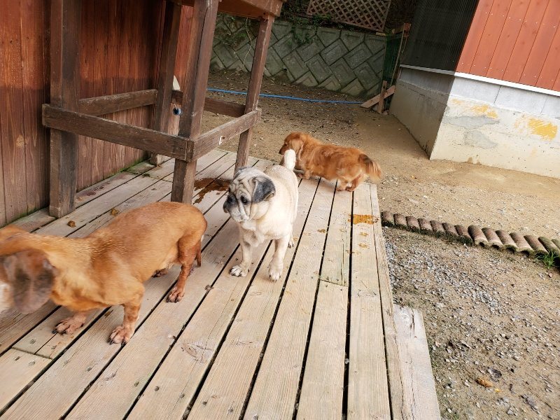 f:id:roukenhome-ann:20191024051313j:plain