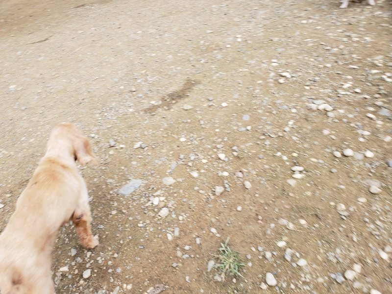 f:id:roukenhome-ann:20191024051426j:plain