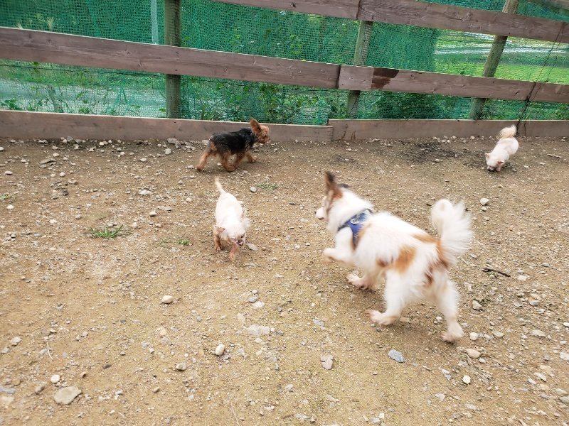f:id:roukenhome-ann:20191024051442j:plain