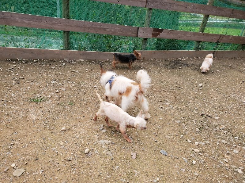 f:id:roukenhome-ann:20191024051459j:plain