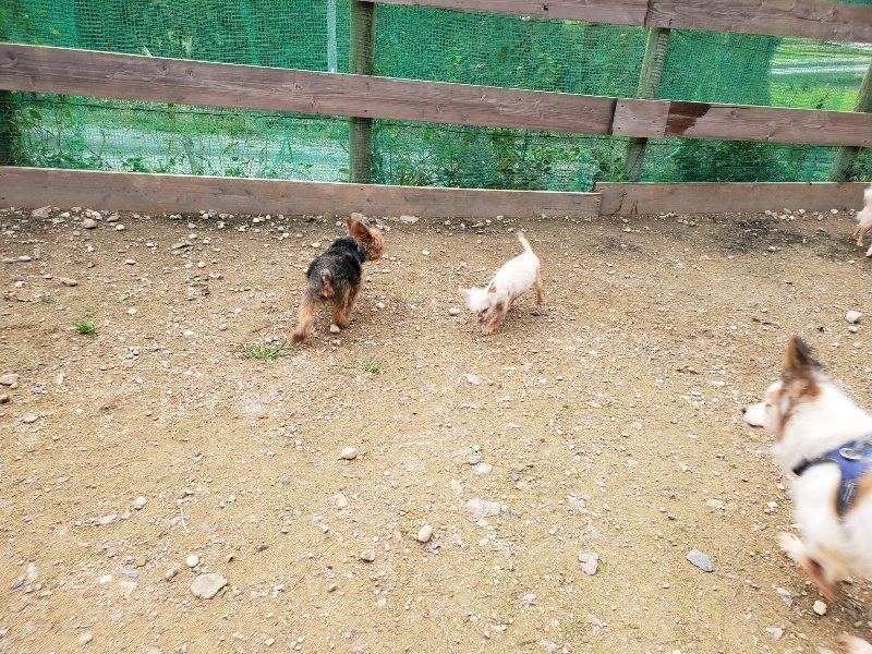 f:id:roukenhome-ann:20191024051512j:plain