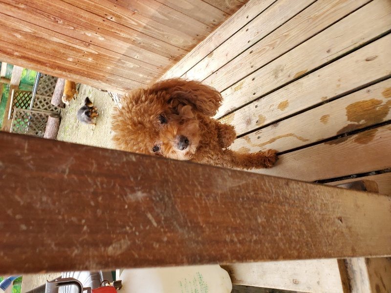 f:id:roukenhome-ann:20191024051628j:plain
