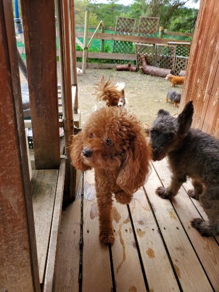 f:id:roukenhome-ann:20191024051637j:plain